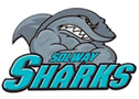 solway-sharks